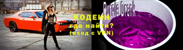 дурь Пестово