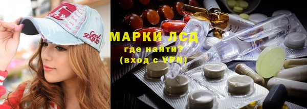 шишки Болотное
