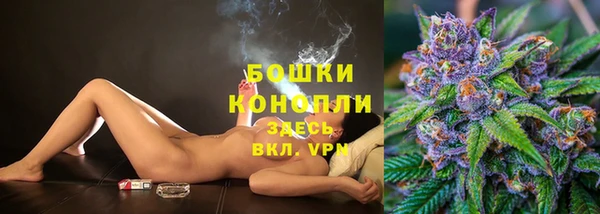шишки Абдулино