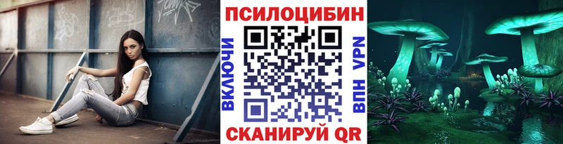 блэк спрут   Красноперекопск  Псилоцибиновые грибы Psilocybe 