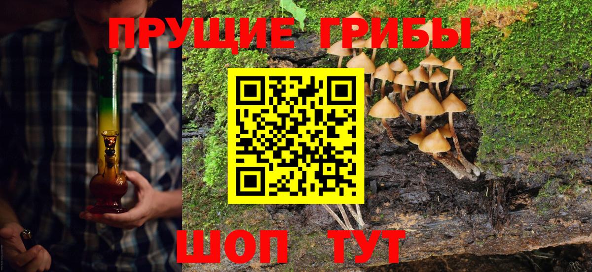 Красноперекопск  Галлюциногенные грибы Cubensis  Вход с VPN 