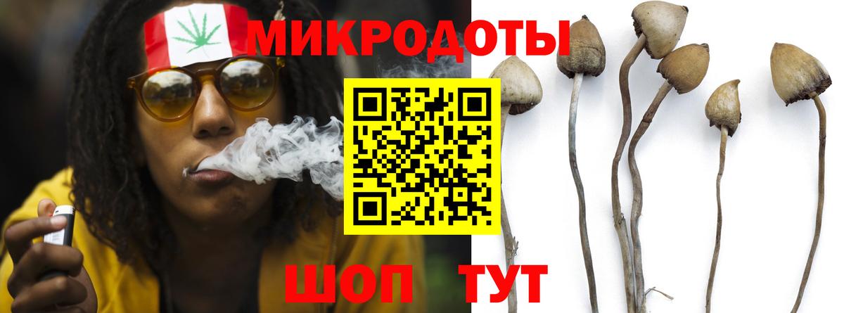 Псилоцибиновые грибы Psilocybine cubensis Красноперекопск